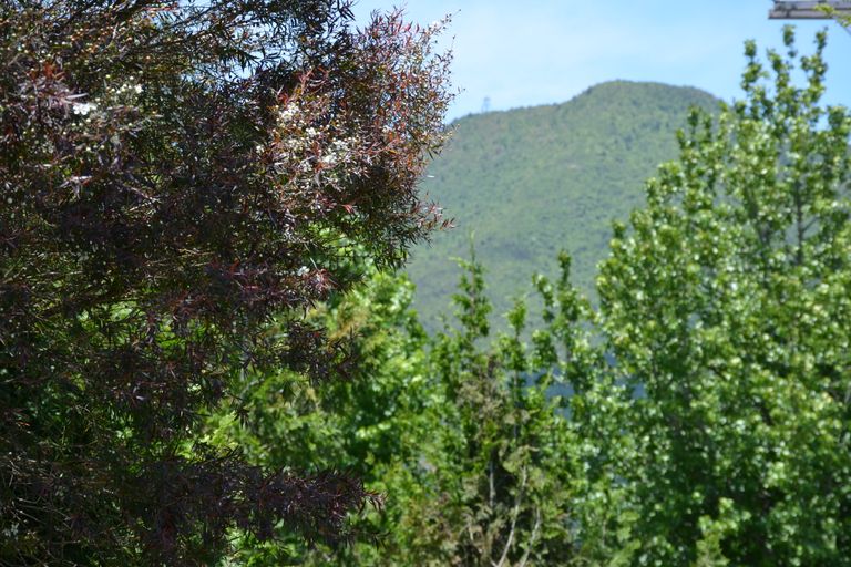 Photo of property in 71 River Road, Kawerau, 3127