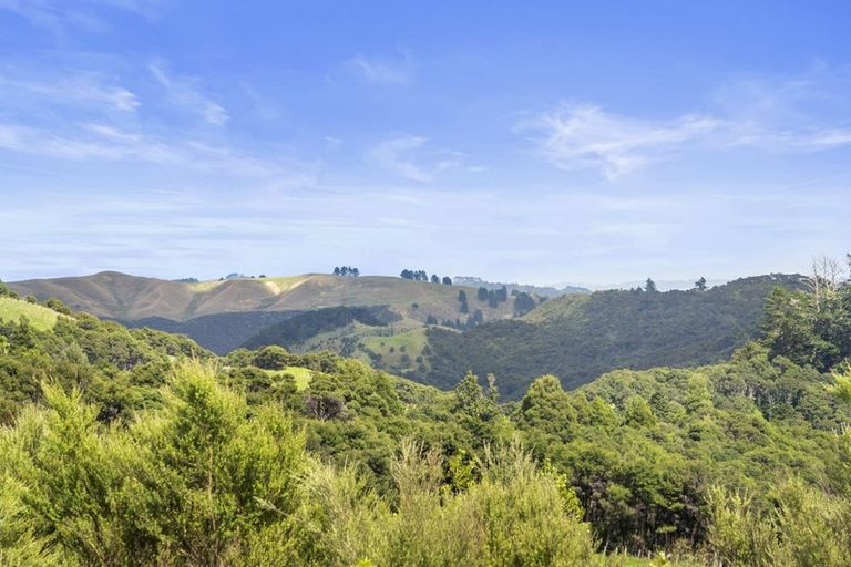 Photo of property in 85 J Tolhopf Road, Puhoi, Warkworth, 0981