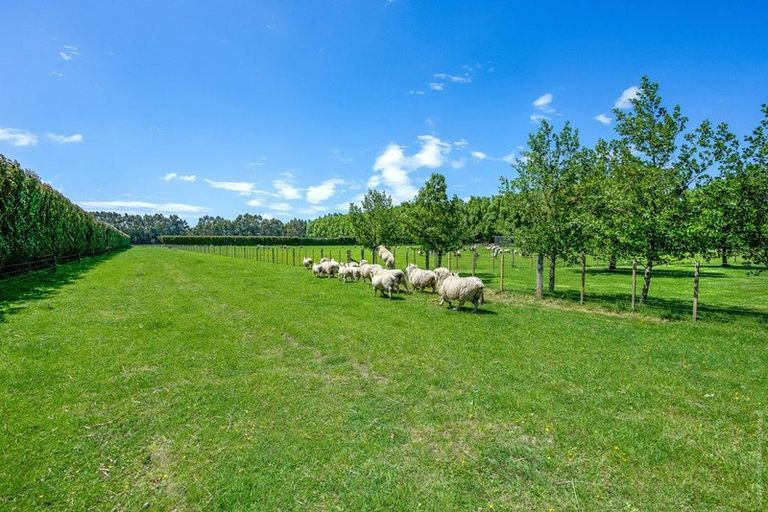 Photo of property in 86 Englishs Road, Lincoln, Christchurch, 7674