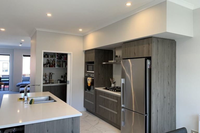 Photo of property in 9 Eyton Kay Road, Hobsonville, Auckland, 0616