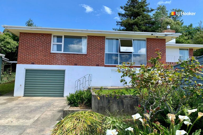 Photo of property in 63 Playfair Street, Caversham, Dunedin, 9012