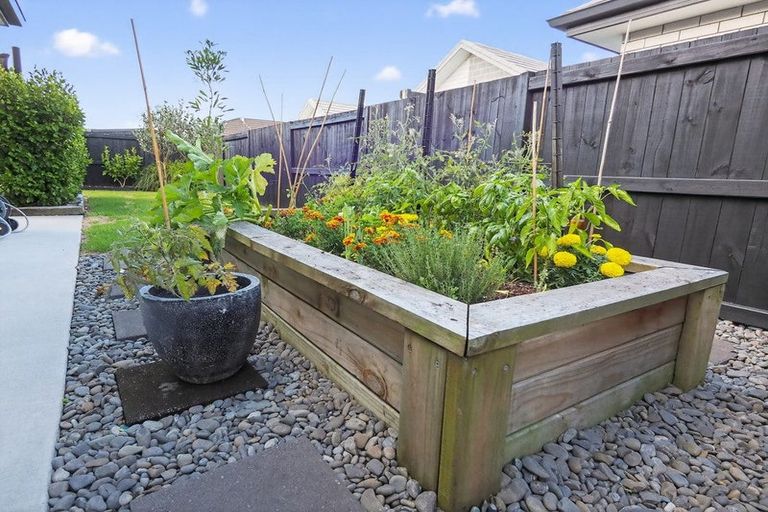 Photo of property in 12 Te Kio Crescent, Papamoa Beach, Papamoa, 3118