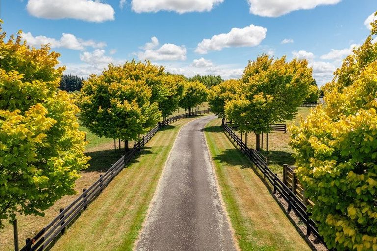 Photo of property in 84 Johnson Street, Bulls, 4818