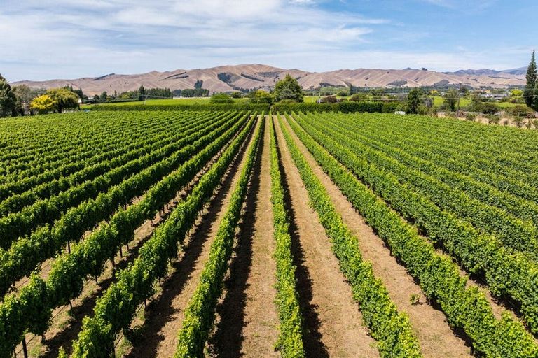 Photo of property in 3009 State Highway 1, Riverlands, Blenheim, 7274