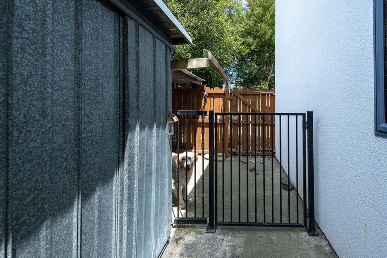 Photo of property in 44 Nursery Drive, Tinwald, Ashburton, 7700