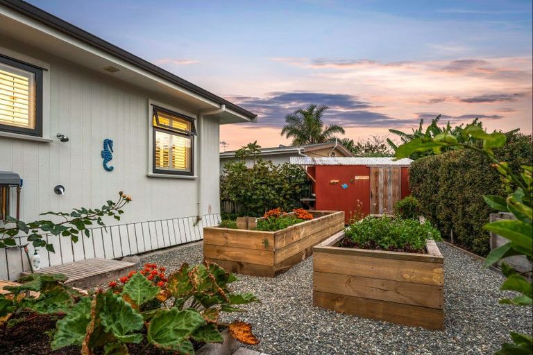 Photo of property in 19 Dunbar Road, Point Wells, Warkworth, 0986