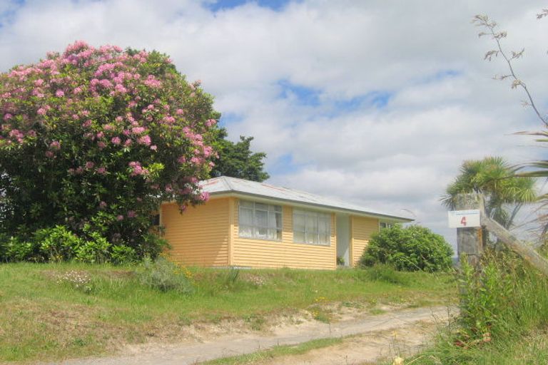 Photo of property in 4 Noho Street, Kakahi, Owhango, 3989