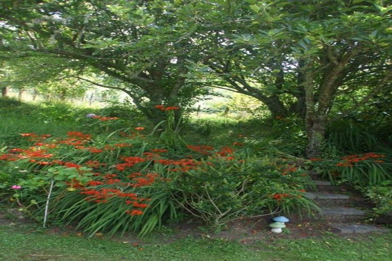 Photo of property in 24 Mary Street, Te Kuiti, 3910