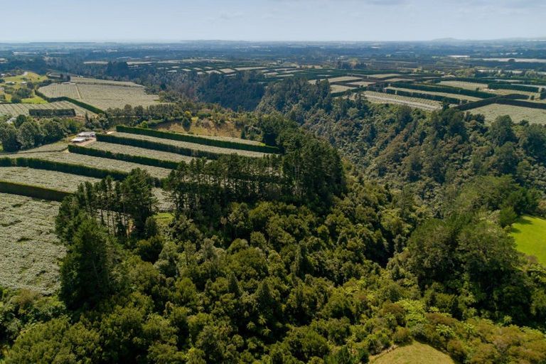 Photo of property in 827 No 1 Road, Te Ranga, Te Puke, 3182