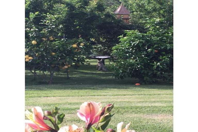 Photo of property in 303 Puketotara Road, Waipapa, Kerikeri, 0295