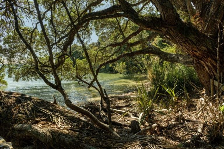 Photo of property in 331 Pahoia Road, Whakamarama, 3172