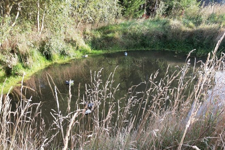 Photo of property in 13 Edievale Road, Edievale, Tapanui, 9587