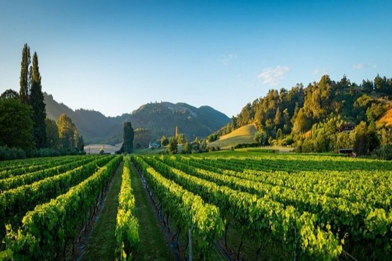 Photo of property in 1469 Motueka Valley Highway, Ngatimoti, Motueka, 7196