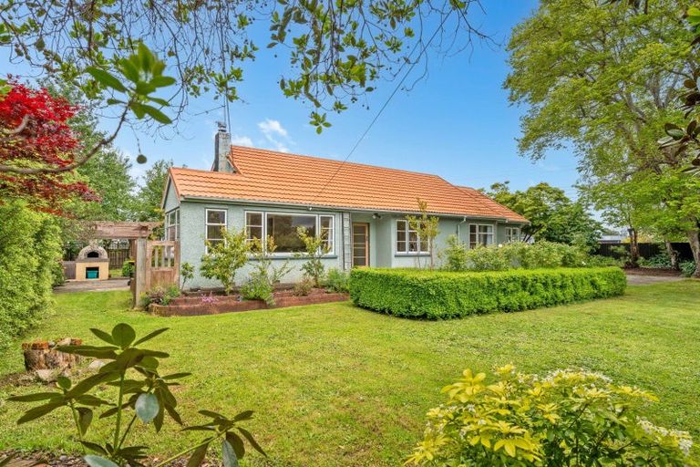 Photo of property in 117 Harley Street, Solway, Masterton, 5810
