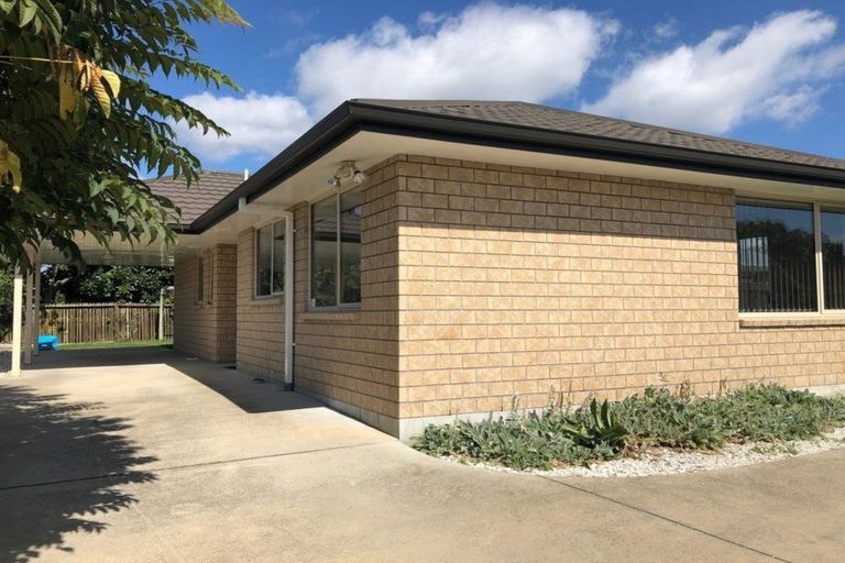 Photo of property in 22b Twentyfirst Avenue, Gate Pa, Tauranga, 3112