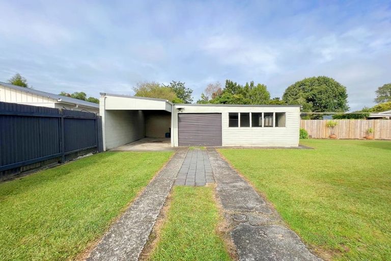 Photo of property in 41 Fitzroy Avenue, Fitzroy, Hamilton, 3206