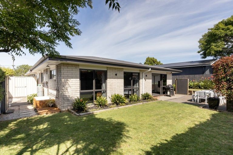 Photo of property in 555c Maunganui Road, Mount Maunganui, 3116