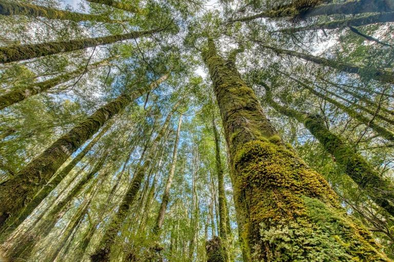 Photo of property in 150 Atarau Road, Atarau, Blackball, 7871