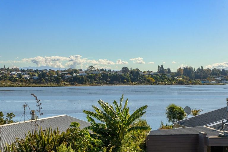 Photo of property in 86 Haukore Street, Hairini, Tauranga, 3112