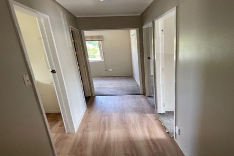 Photo of property in 13 Riley Place, Fitzroy, Hamilton, 3206