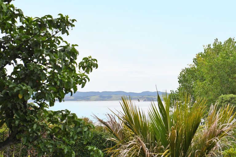 Photo of property in 3 Kendale Drive, Leigh, 0985