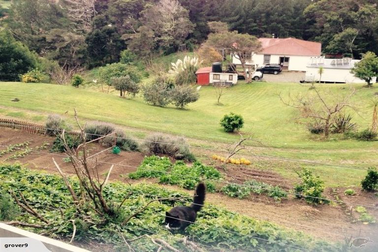 Photo of property in 502 Waipiro Road, Waipiro, Tokomaru Bay, 4079