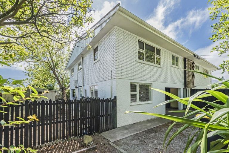 Photo of property in 113a Fisher Avenue, Beckenham, Christchurch, 8023