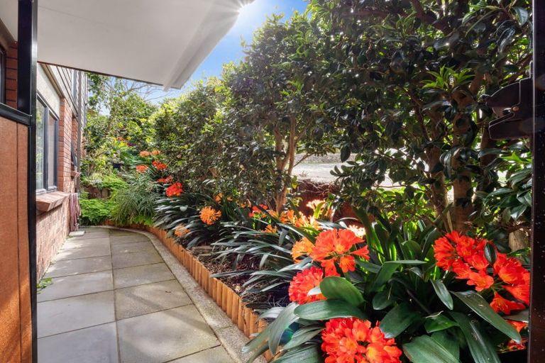 Photo of property in 61a Pillans Road, Otumoetai, Tauranga, 3110