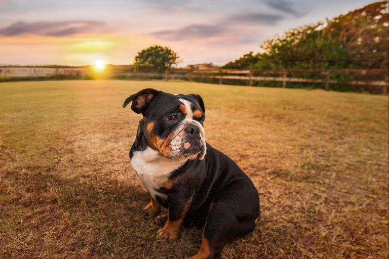 Photo of property in 48 Witheford Road, Wharehine, Wellsford, 0973