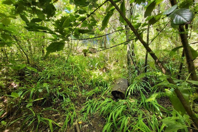 Photo of property in 44 Ruahine Street, Paraparaumu, 5032