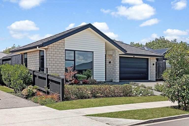 Photo of property in 12 Harp Street, Morrinsville, 3300