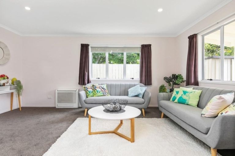 Photo of property in 9b Greerton Road, Gate Pa, Tauranga, 3112