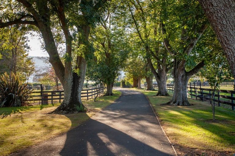 Photo of property in 985 Tower Road, Turangaomoana, Matamata, 3471