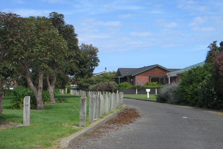 Photo of property in 19 Kakaho Drive, Tawhero, Whanganui, 4501