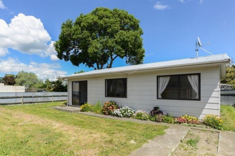 Photo of property in 406a Burnett Street, Mahora, Hastings, 4120