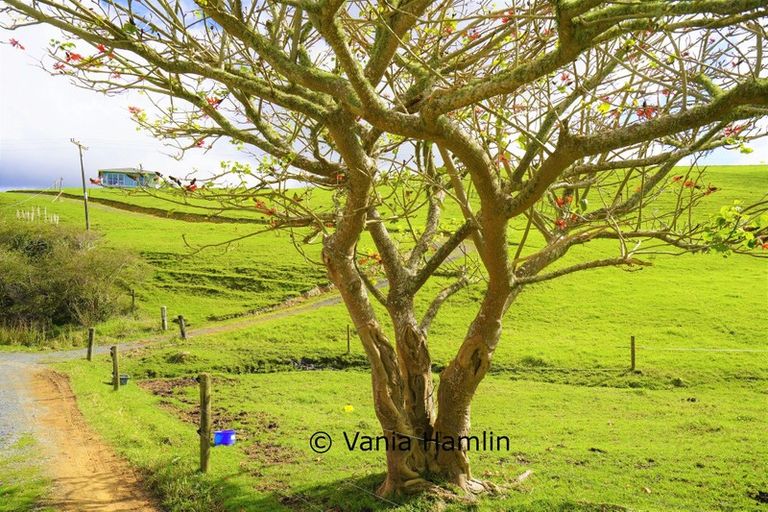 Photo of property in 533 Pataua South Road, Pataua South, Onerahi, 0192