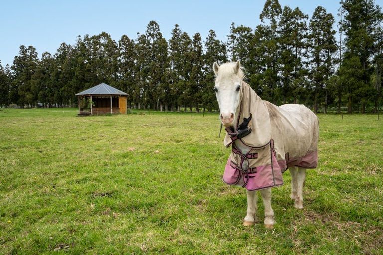 Photo of property in 438 Matangi Road, Matangi, Hamilton, 3284