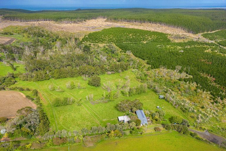 Photo of property in 118 Trig Road, South Head, Helensville, 0874