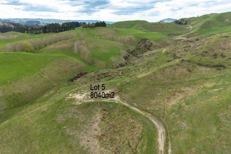 Photo of property in 209 Pourerere Road, Waipawa, 4271