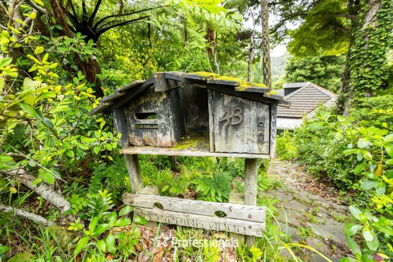 Photo of property in 43 Wyndham Road, Pinehaven, Upper Hutt, 5019