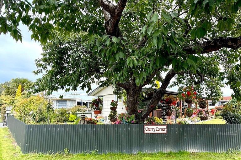 Photo of property in 18 Levens Lane, Temuka, 7920