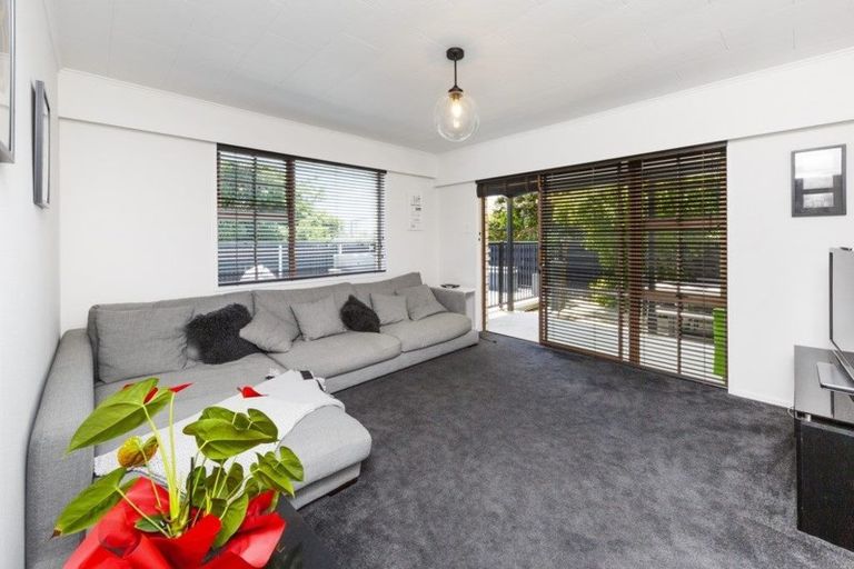 Photo of property in 33 Dittmer Drive, Awapuni, Palmerston North, 4412