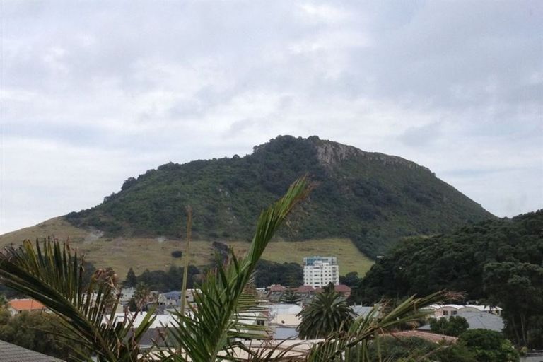 Photo of property in 30e Rita Street, Mount Maunganui, 3116