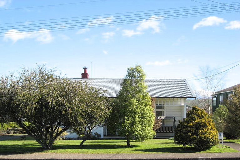 Photo of property in 19 Nelson Street, Waipukurau, 4200