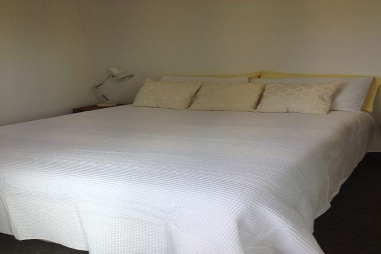 Photo of property in The Peak Apartments, 406/170 Taranaki Street, Te Aro, Wellington, 6011