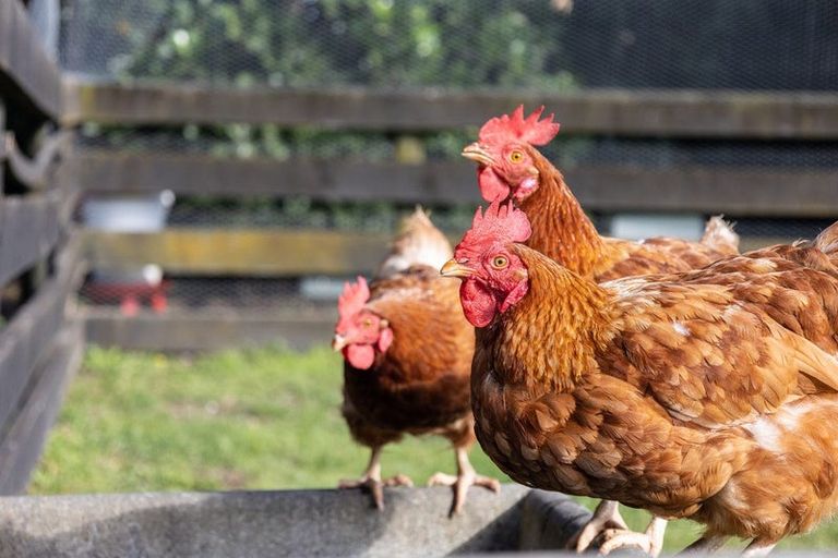 Photo of property in 2 Otaihanga Road, Paraparaumu Beach, Paraparaumu, 5032