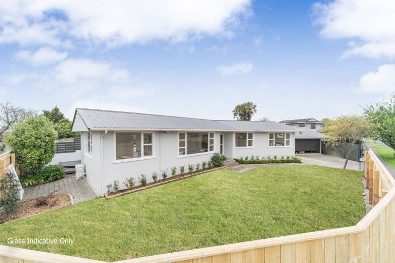 Photo of property in 49 Pitama Road, Awapuni, Palmerston North, 4412