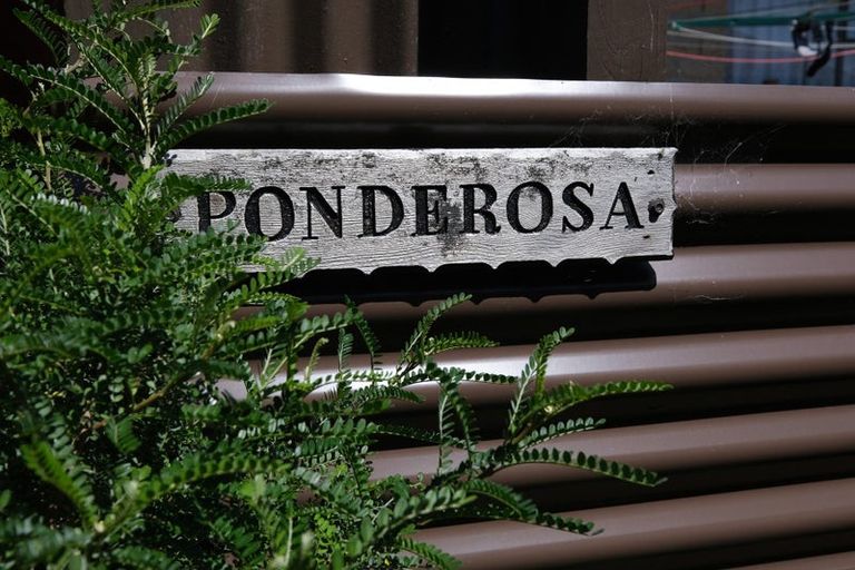 Photo of property in 8b Bellona Street, Saint Kilda, Dunedin, 9012