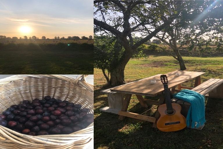 Photo of property in 6855 State Highway 26, Paeroa, 3673