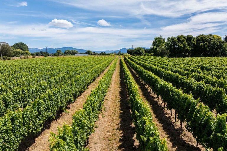 Photo of property in 3009 State Highway 1, Riverlands, Blenheim, 7274